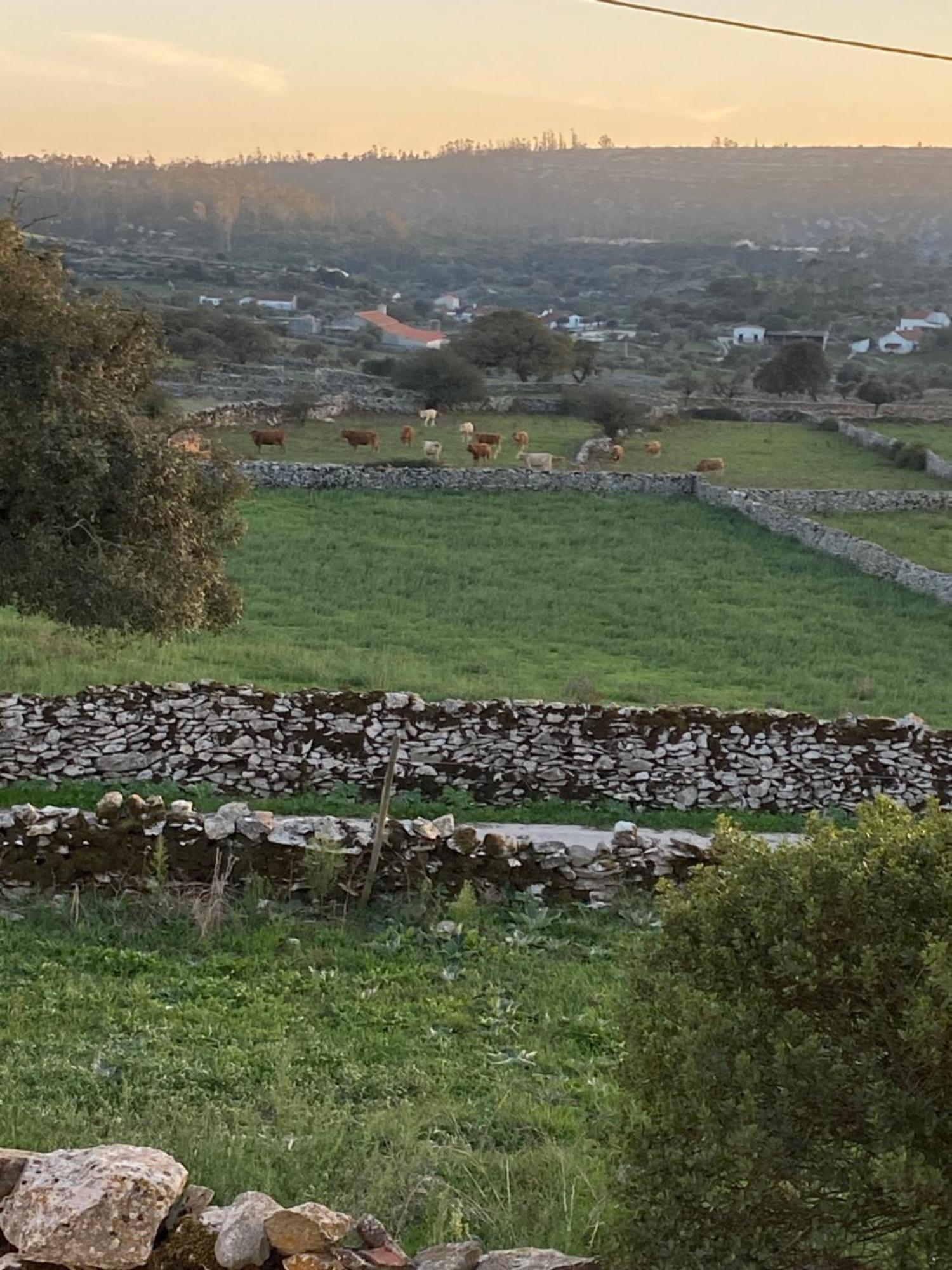 Casas Da Chainca - Turismo De Natureza Holiday home *
