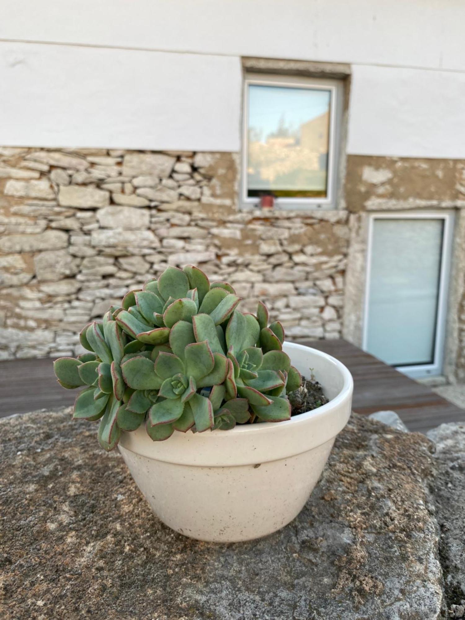 Casas Da Chainca - Turismo De Natureza * Chainca (Porto de Mos, Leiria)