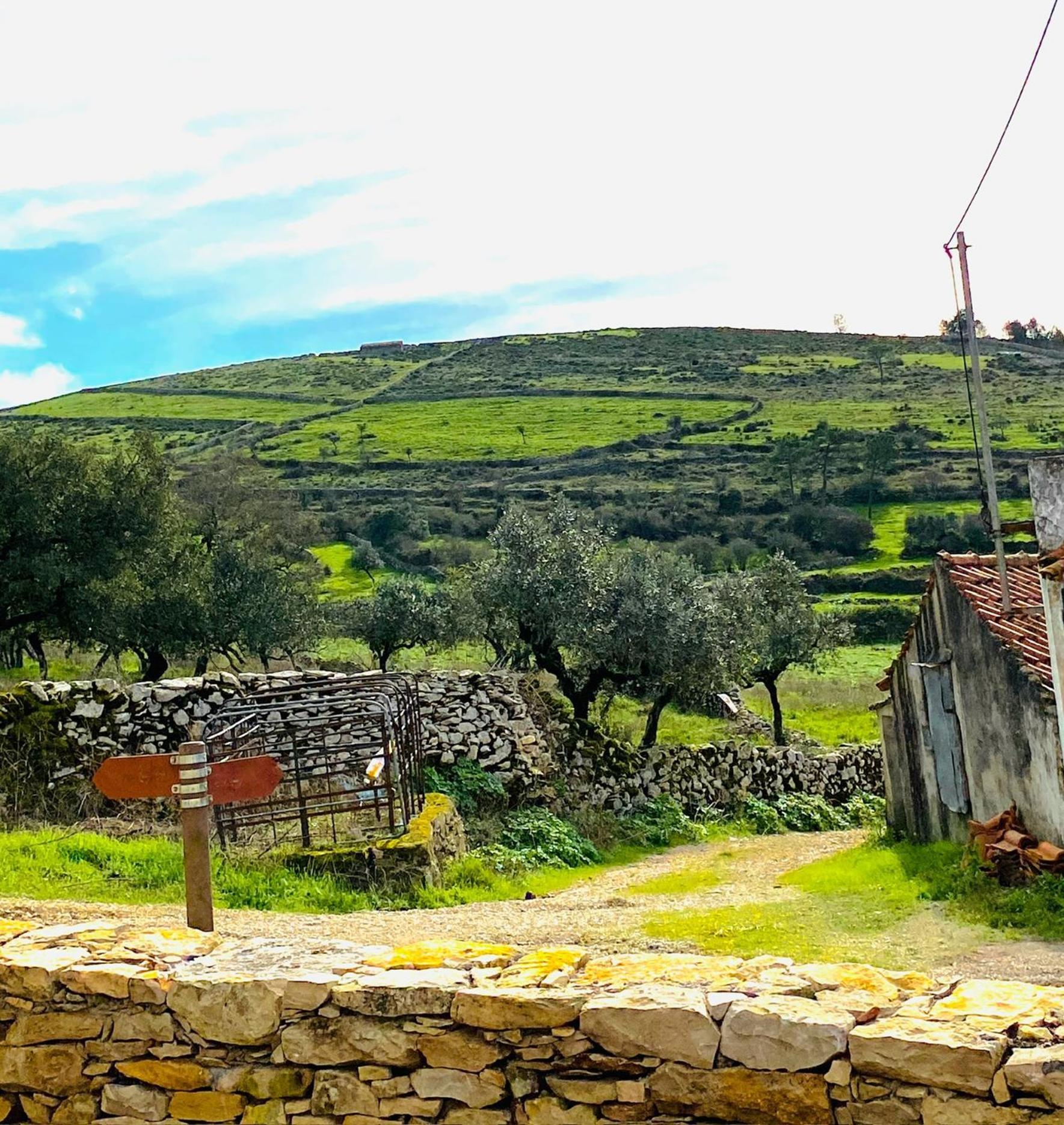 Casas Da Chainca - Turismo De Natureza * Chainca (Porto de Mos, Leiria)